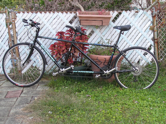 Schwin 1995 tandem Trek 1100